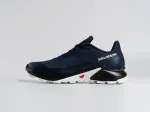 Кроссовки Salomon Alphacross 5 GTX - 45208