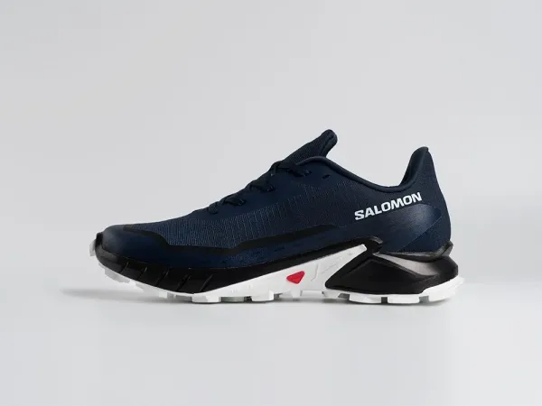 Кроссовки Salomon Alphacross 5 GTX - 45208