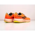 Кроссовки Saucony Triumph 19 - 35893