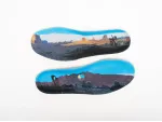 Кроссовки Di’orr Greenwood x Nike SB Dunk High - 40325