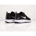 Кроссовки Nike Air Pegasus 30+ - 37031