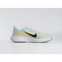 Кроссовки Nike Pegasus Plus - 43254