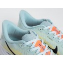 Кроссовки Nike Pegasus Plus - 43254