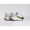 Кроссовки Nike Pegasus Plus - 43254