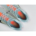 Кроссовки Nike Pegasus Plus - 43254