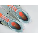 Кроссовки Nike Pegasus Plus - 43254