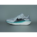 Кроссовки Nike Air Zoom Pegasus 41 - 43208