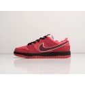 Кроссовки Nike SB Dunk Low - 34170