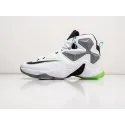Кроссовки Nike Lebron 13 - 39041