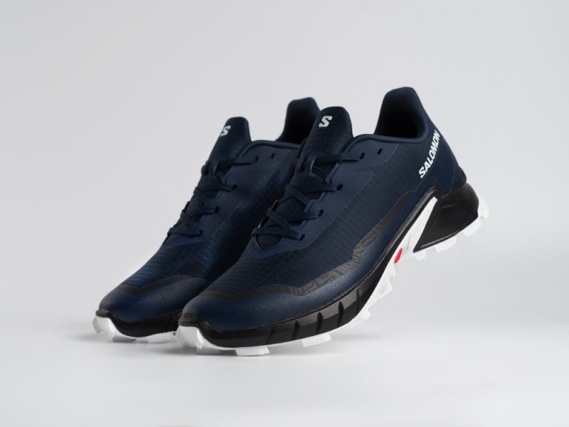 Кроссовки Salomon Alphacross 5 GTX - 45208