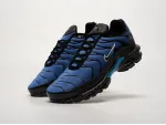 Кроссовки Nike Air Max Plus TN - 42475