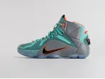 Кроссовки Nike Lebron 12 - 2623