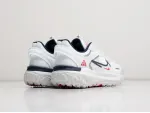 Кроссовки Nike ACG Mountain Fly 2 Low - 39187