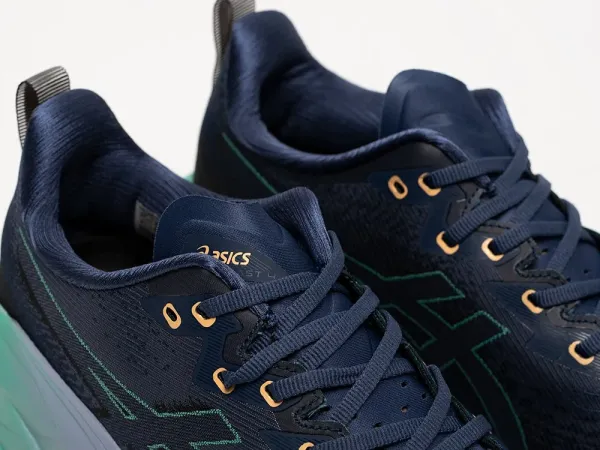 Кроссовки Asics Novablast 4 - 42008