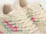 Кроссовки Nike Air Pegasus 2K5 - 42832