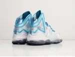 Кроссовки Nike Lebron XIX - 30004