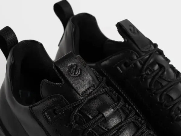 Кроссовки ECCO BIOM 2.1 X MOUNTAIN - 43623