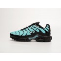 Кроссовки Nike Air Max Plus TN - 41925
