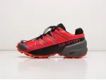 Кроссовки Salomon SPEEDCROSS 5 GTX - 19905