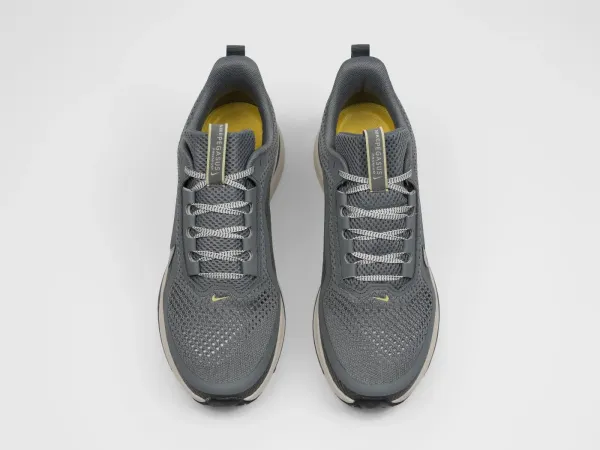 Кроссовки Nike Pegasus Premium - 46649