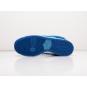 Кроссовки Nike SB Dunk Low - 33513