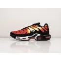 Кроссовки Nike Air Max Plus TN - 31588