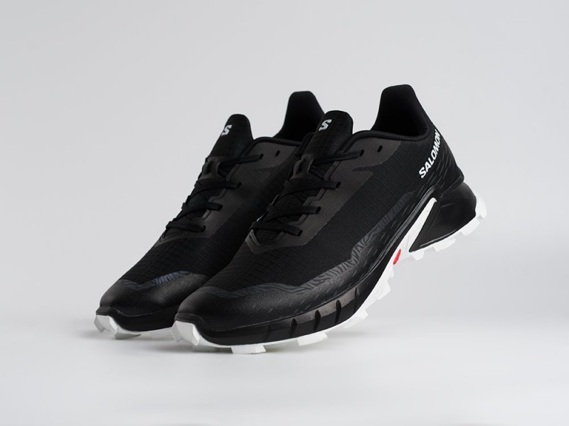 Кроссовки Salomon Alphacross 5 GTX - 45206