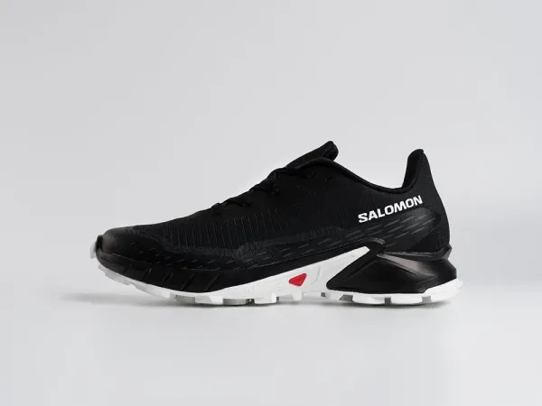 Кроссовки Salomon Alphacross 5 GTX - 45206