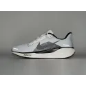 Кроссовки Nike Air Zoom Pegasus 41 - 45143
