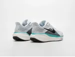 Кроссовки Nike Air Zoom Pegasus 41 - 43208