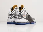 Кроссовки Nike Lebron XIX - 30005