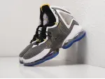 Кроссовки Nike Lebron XIX - 30005