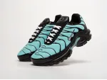 Кроссовки Nike Air Max Plus TN - 41925
