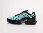 Кроссовки Nike Air Max Plus TN - 41925