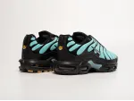 Кроссовки Nike Air Max Plus TN - 41925