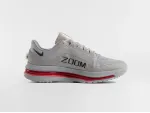 Кроссовки Nike Pegasus Premium - 47086