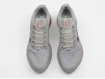 Кроссовки Nike Pegasus Premium - 47086