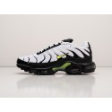 Кроссовки Nike Air Max Plus TN - 30286