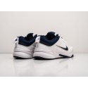 Кроссовки Nike Defy All Day - 30257