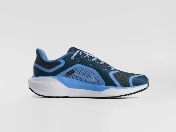 Кроссовки Nike Air Zoom Pegasus 41 - 44768