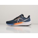 Кроссовки Nike Air Zoom Pegasus 39 - 29738