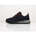 Кроссовки Columbia Fairbanks Low - 31118