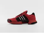 Кроссовки Adidas Climacool 1 - 6676