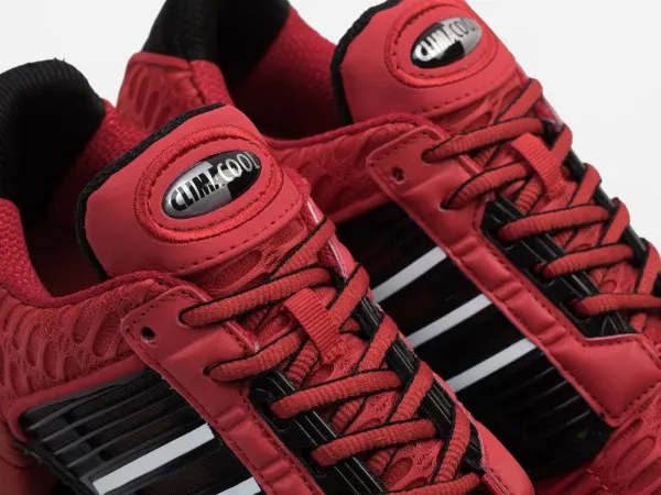 Кроссовки Adidas Climacool 1 - 6676
