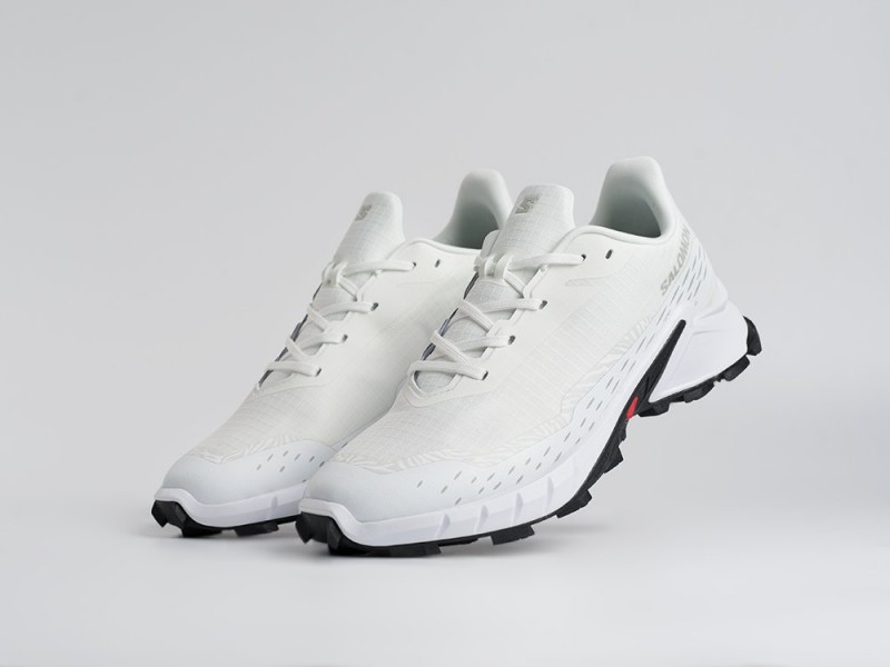 Кроссовки Salomon Alphacross 5 GTX - 45204