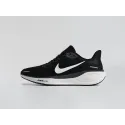 Кроссовки Nike Air Zoom Pegasus 41 - 45142