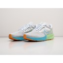 Кроссовки Nike Air Zoom Pegasus 39 - 29642