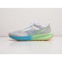 Кроссовки Nike Air Zoom Pegasus 39 - 29642