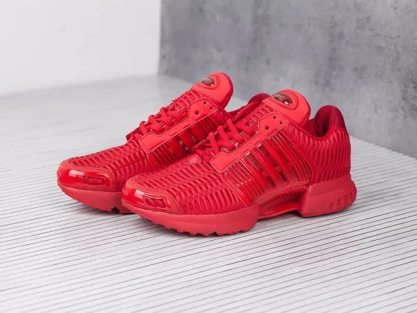 Кроссовки Adidas Climacool 1 - 6676