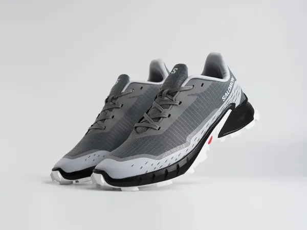 Кроссовки Salomon Alphacross 5 GTX - 45209